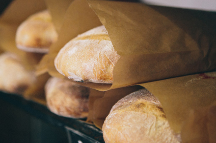 organic sourdough bread